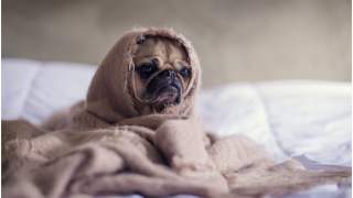 Proste tricki, które pozwalają zwalczyć stres