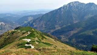 kawa-DzidekLasek-pixabay