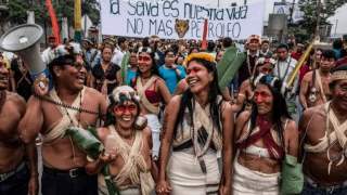 Las deszczowy uratowany dzięki lokalnej społeczności Ekwadoru