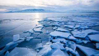 ocean-poludniowy-scott-osborn-unsplash