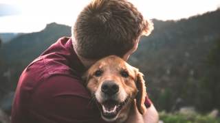 Pies uznany za towarzysza człowieka