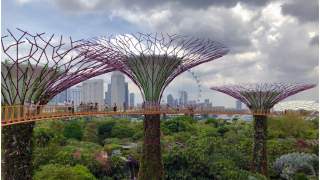 Ogrody w Singapurze