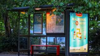 Ponad 300 przystanków autobusowych dla pszczół w Holandii