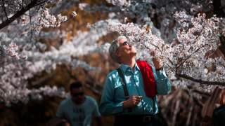 Sad miejski powstał zamiast pamiątkowego pomnika