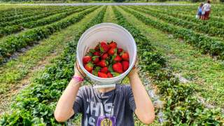 Warzywa i owoce dla każdego z nas