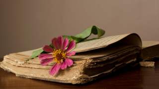 Wiedza do tej pory była przekazywana ustnie z pokolenia na pokolenie