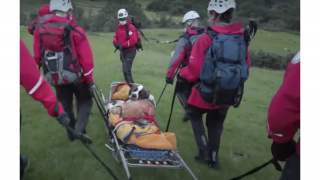 Ekipa ratunkowa pomaga suczce Daisy.