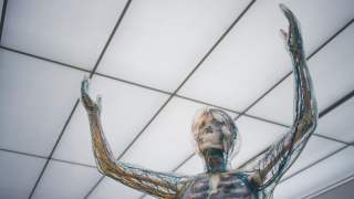 Niezwykły skan ludzkiego ciała