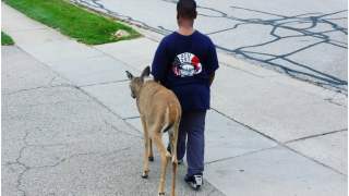 Jelonek został uratowany przez chłopca