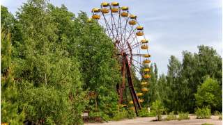 Katastrofa w Czarnobylu sprawiła, że natura zaczęła się odradzać