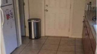 Na tym zdjęciu sprytnie ukrył się pies.