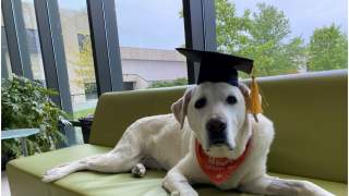 Pies otrzymał tytuł doktora