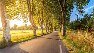 Droga do ukochanej rok po roku się powtarza