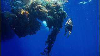 Ocean Voyages Institute pozwala zobaczyć, jak wiele śmieci znajduje się w oceanach.
