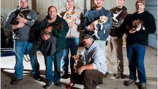 Grupa przyjaciół z zaadoptowanymi psami.