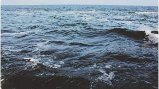 Wzburzone Morze Bałtyckie to dość nietypowe miejsce na poród.