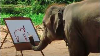 Słonie w Tajlandii malują obrazy