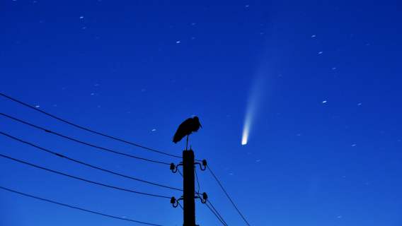 Kometa NEOWISE