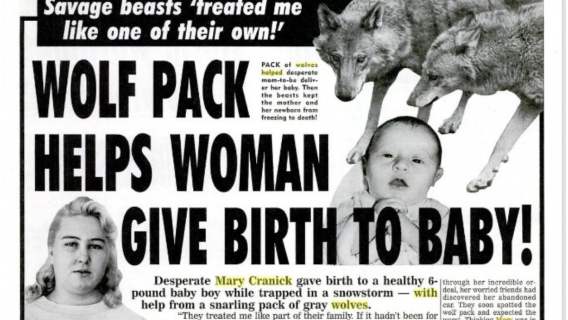 Kobieta, która urodziła z wilkami