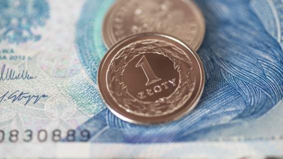 Polski złoty szybko rośnie