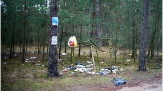 Ustawa wprowadza wyższe kary za zaśmiecanie terenów leśnych