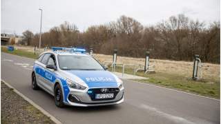 Osa była przyczyną nadmiernej prędkości kierowcy.