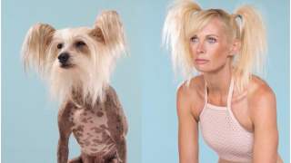 Charlotte i grzywacz chiński Crested, zdjęcie Gerrarda Gethingsa