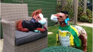 Pluszowe konie podróżujące po mieście