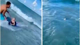 Rekin napadł na małego chłopca