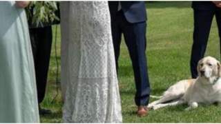 Pies sprawił na ślubie nie lada niespodziankę