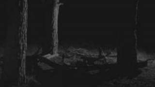 Szamani odnalezieni niedaleko Szczecina