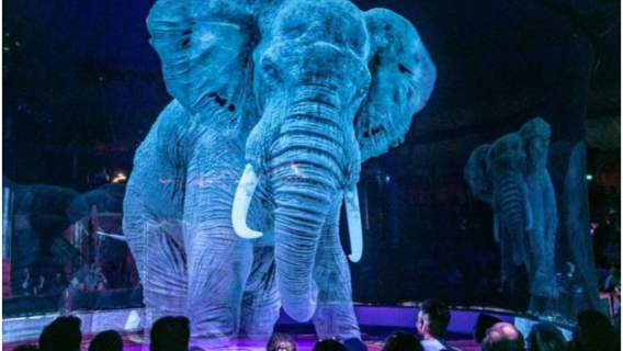Niemiecki Circus Roncall, holograficzny wizerunek słonia