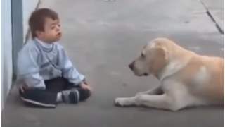 Labrador i jego niezwykła metoda