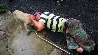 Pies uratował swojego właściciela po zawale