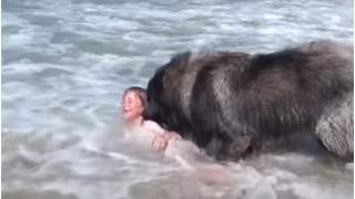 Pies zachował się w niecodzienny sposób