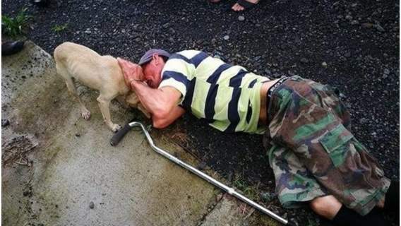 Pies uratował swojego właściciela po zawale