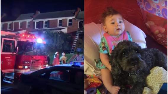 Pies bohater uratował dziewczynkę z płonącego domu