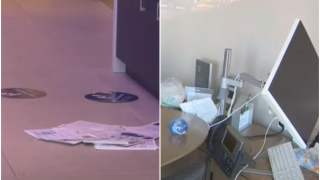 Bank, który napadły szopy został zdemolowany przez czworonogi