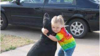 Pies, do którego napisała list jego była mała właścicielka