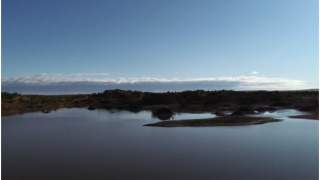 Skarb znaleziony na pustyni Gobi