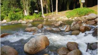 Odkrycie w Karpatach