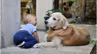 Pies członkiem rodziny?