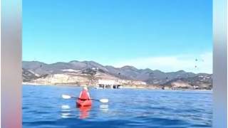 Wieloryb "połknął" kajakarki podczas ich wyprawy
