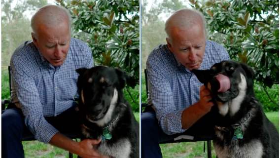 Joe Biden i jego ukochany pies. Major stanie się pierwszym adoptowanym czworonogiem w Białym DOmu
