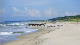 Odkrycie na plaży zmieniło życie mężczyzny. Teraz zostanie milionerem