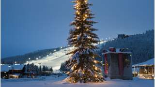 Pogoda na święta Bożego Narodzenia lepsza niż ktokolwiek by się spodziewał