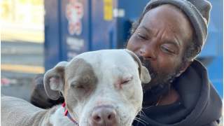 Dom stanął w płomieniach. Na pomoc narażonym zwierzętom przyszedł bezdomny mężczyzna