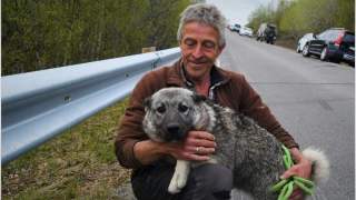 Pies został uratowany przez ratowników, którzy poszukują zaginionych po tragedii w Norwegii